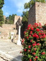 /album/v-krajine-ohniveho-flamenka-temperamentna-andaluzia/sam-1777-jpg/