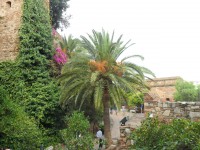 /album/v-krajine-ohniveho-flamenka-temperamentna-andaluzia/sam-2140-jpg/