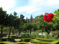 /album/v-krajine-ohniveho-flamenka-temperamentna-andaluzia/sam-2211-jpg/