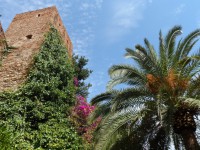 /album/v-krajine-ohniveho-flamenka-temperamentna-andaluzia/sam-2223-jpg/