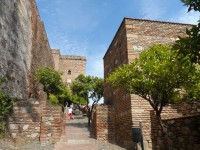 /album/fotogaleria-v-krajine-ohniveho-flamenka-temperamentna-andaluzia/sam-2226-jpg1/