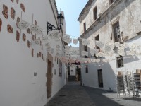 /album/fotogaleria-v-krajine-ohniveho-flamenka-temperamentna-andaluzia/sam-2314-jpg1/